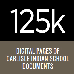 Digital Pages Stats