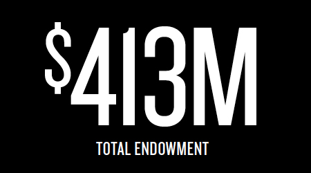 413M Endowment