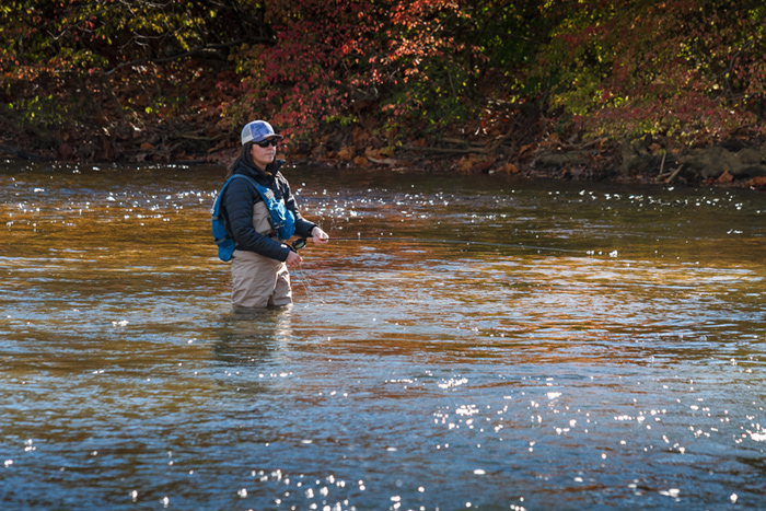 Fly fishing at allenberry resort