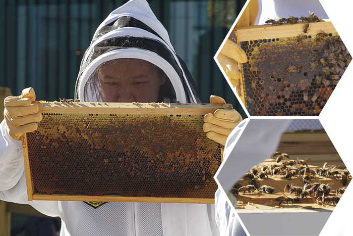 Student working in the HIve