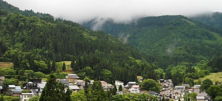 Global Scholars, Akita Forest