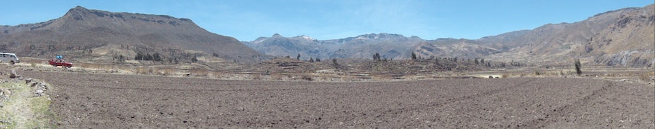 CGSE, South American desert landscape 
