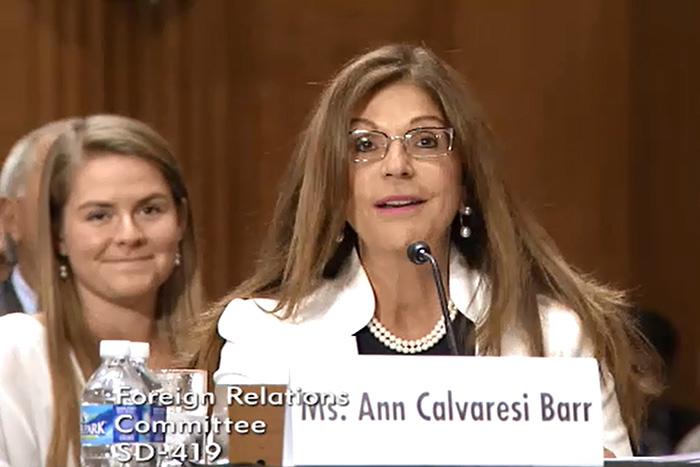 Ann Calvaresi Barr at a government hearing