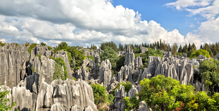 China stone forest in kunming yunnan