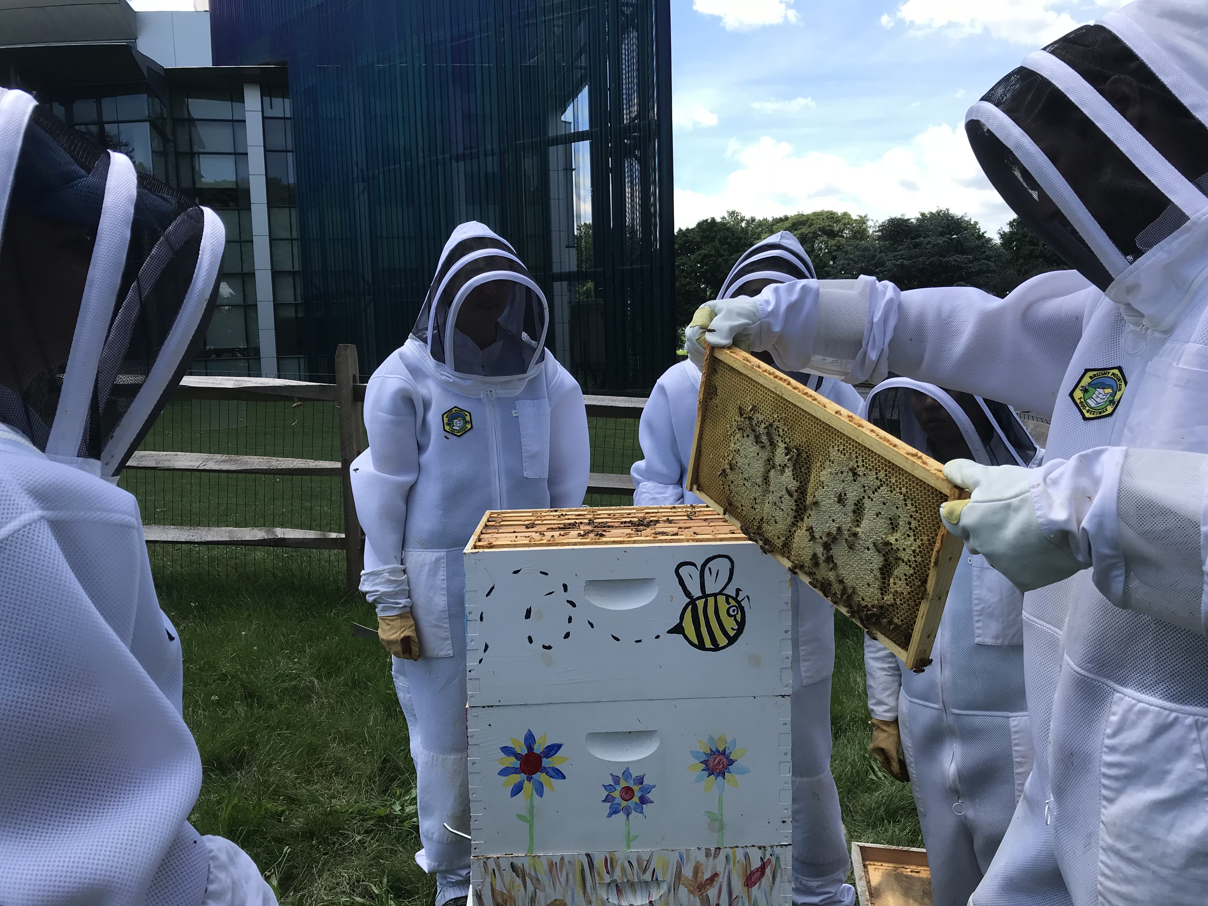 ENST Co curricular activities bee keeping