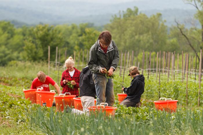 'Parade' magazine highlights the College Farm in its special Earth Day Across America feature.