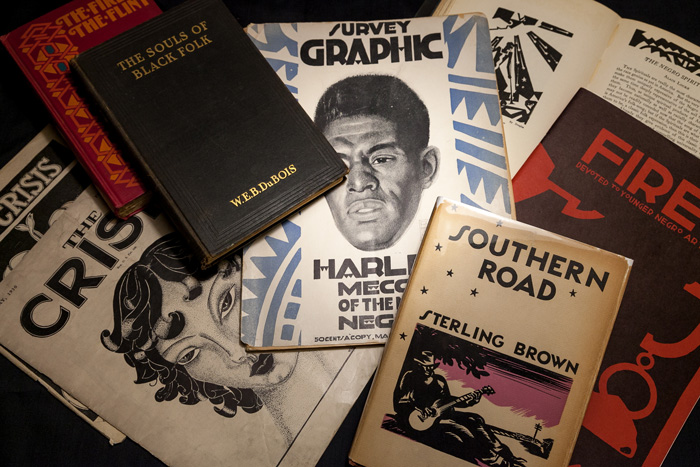 Books from the archives' New Negro collection