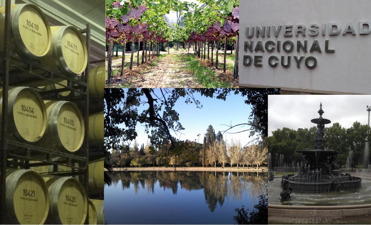Collage of photos from Mendoza in Argentina 