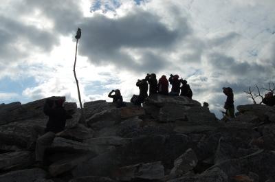 Image of students doing fieldwork