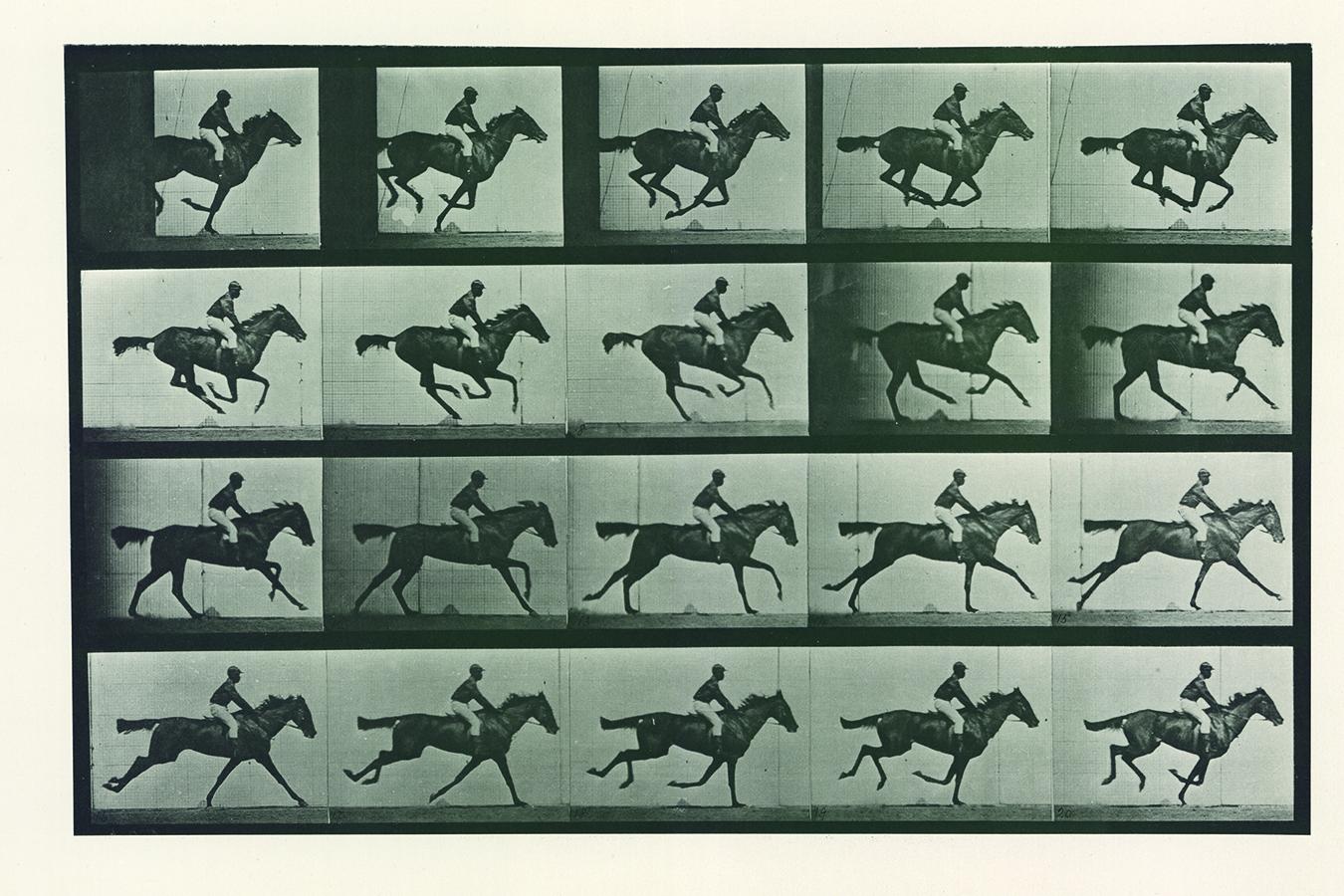 Eadweard Muybridge, Animal Locomotion, Plate 627