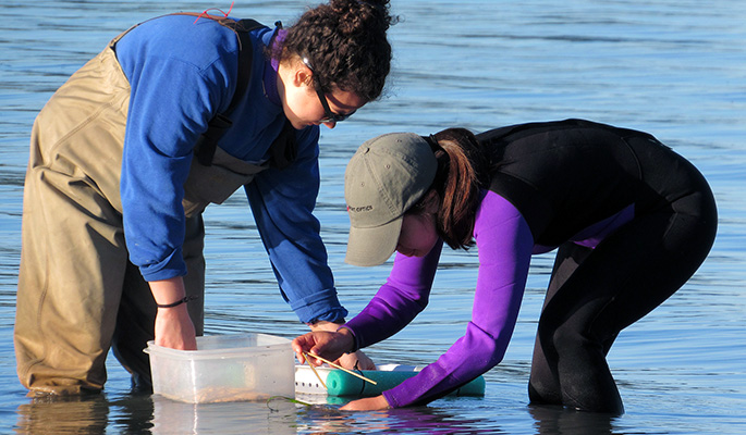 Students working on an outdoor project