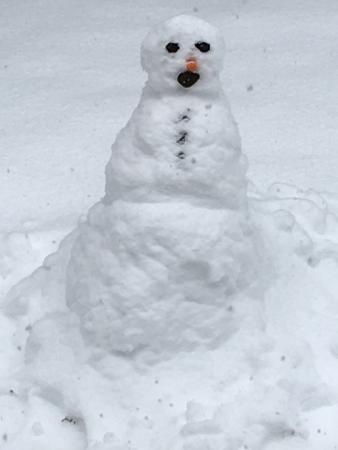 2018 spring into fitness snowman challenge