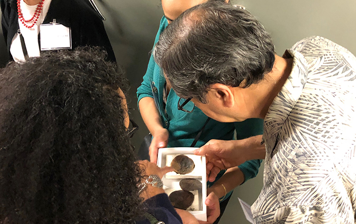 Alumni were encouraged to closely examine, and even touch, fossils during an exclusive behind-the-scenes tour. Photo courtesy of Laura Wills.