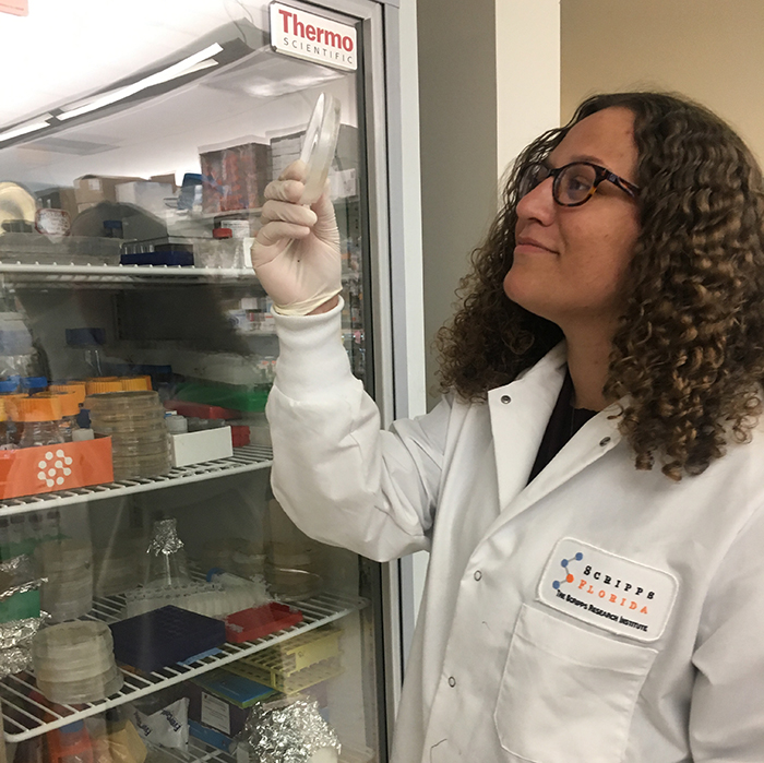 Usually, internships give students an idea for what job they want. In Madison Weirick '18's case, she's using her experience at the Scripps Research Institute to guide her toward graduate school.
