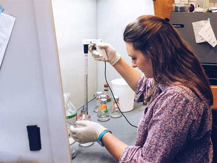 Caroline Kanaskie '17 in the lab, pipetting algal solutions.