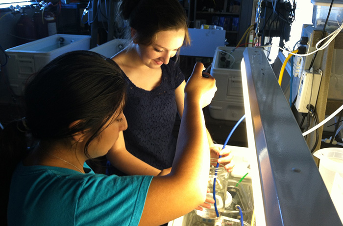 student-researcher Julia McMahon ’15 (left) performs research at Friday Harbor Labs.