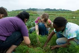 Farm Pre-Orientation