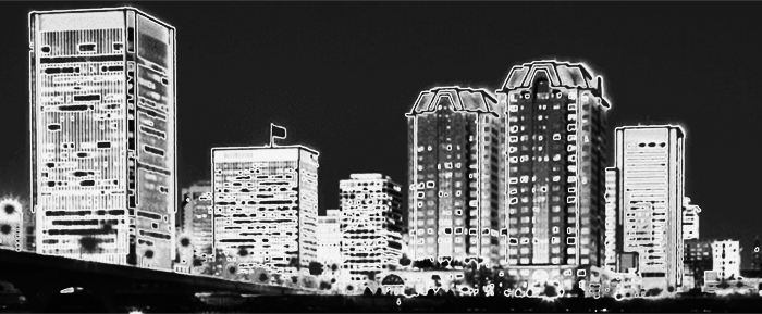 raleigh, north carolina graphic b&w
