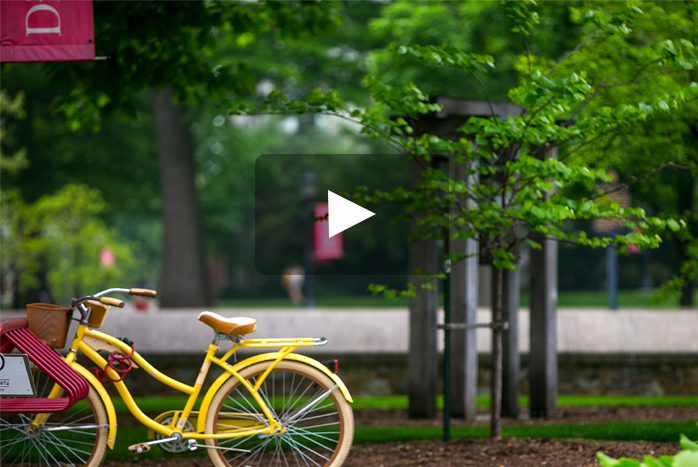 A yellow bicycle stands out among Dickinson's lush green campus.