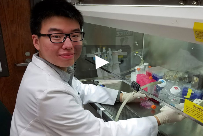 After completing his first year at Dickinson, Tao Xu '21 went to the University of Alabama for a hands-on internship working in the lab alongside leading experts and medical professionals.
