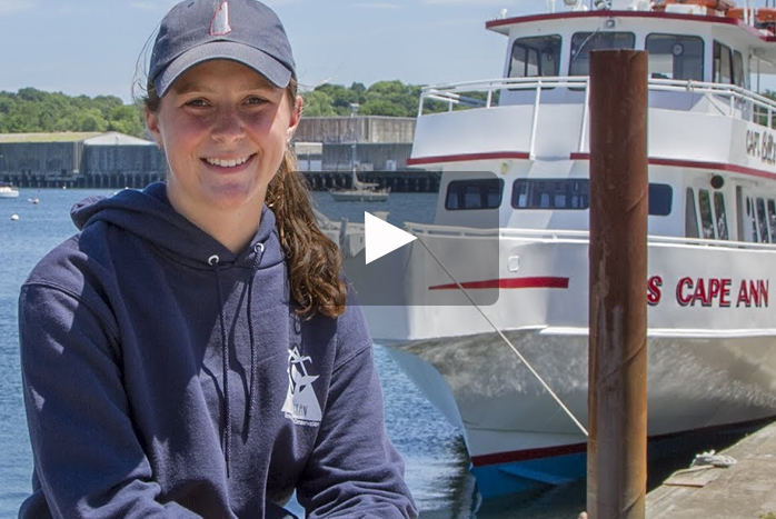 Julia Thulander '20 is spending her summer collecting data on whales through an internship with Blue Ocean Society. Most of her days are spent on whale watch boat tours.