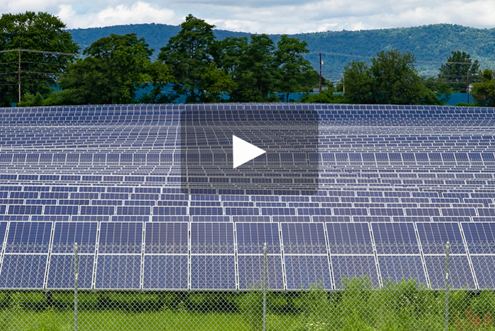 Solar Field Video Image