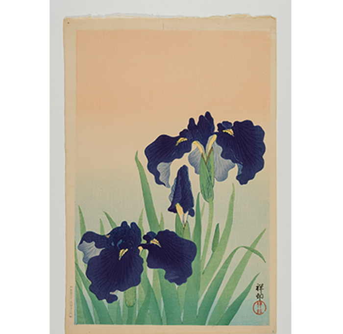 Irises, Ohara Koson (1877-1945).