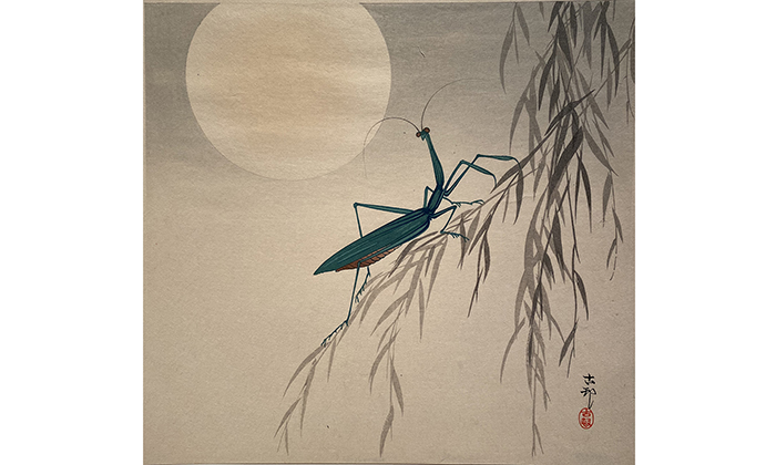art history exhibition image