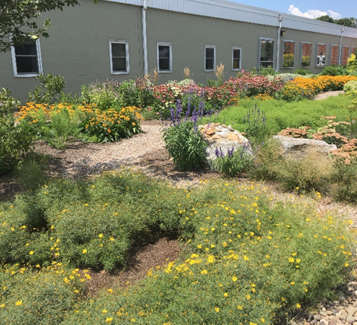 Kaufman Pollinator Garden 2018