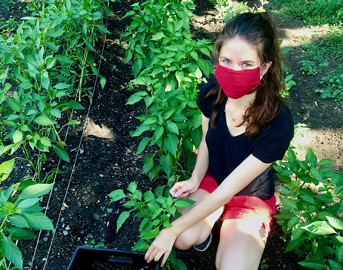 Scout Best '21 interned with the Refugee Agricultural Partnership.