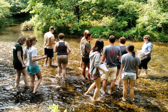 ALLARM in a stream