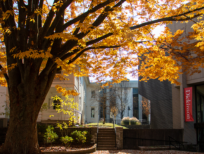 ATS in autumn, fall, trees, general campus
