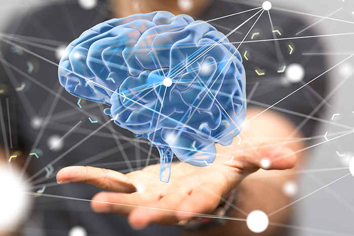 Simulation of a human brain, which appears to float above a student's hand.