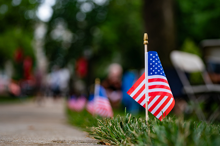 American flags on a lawn.
