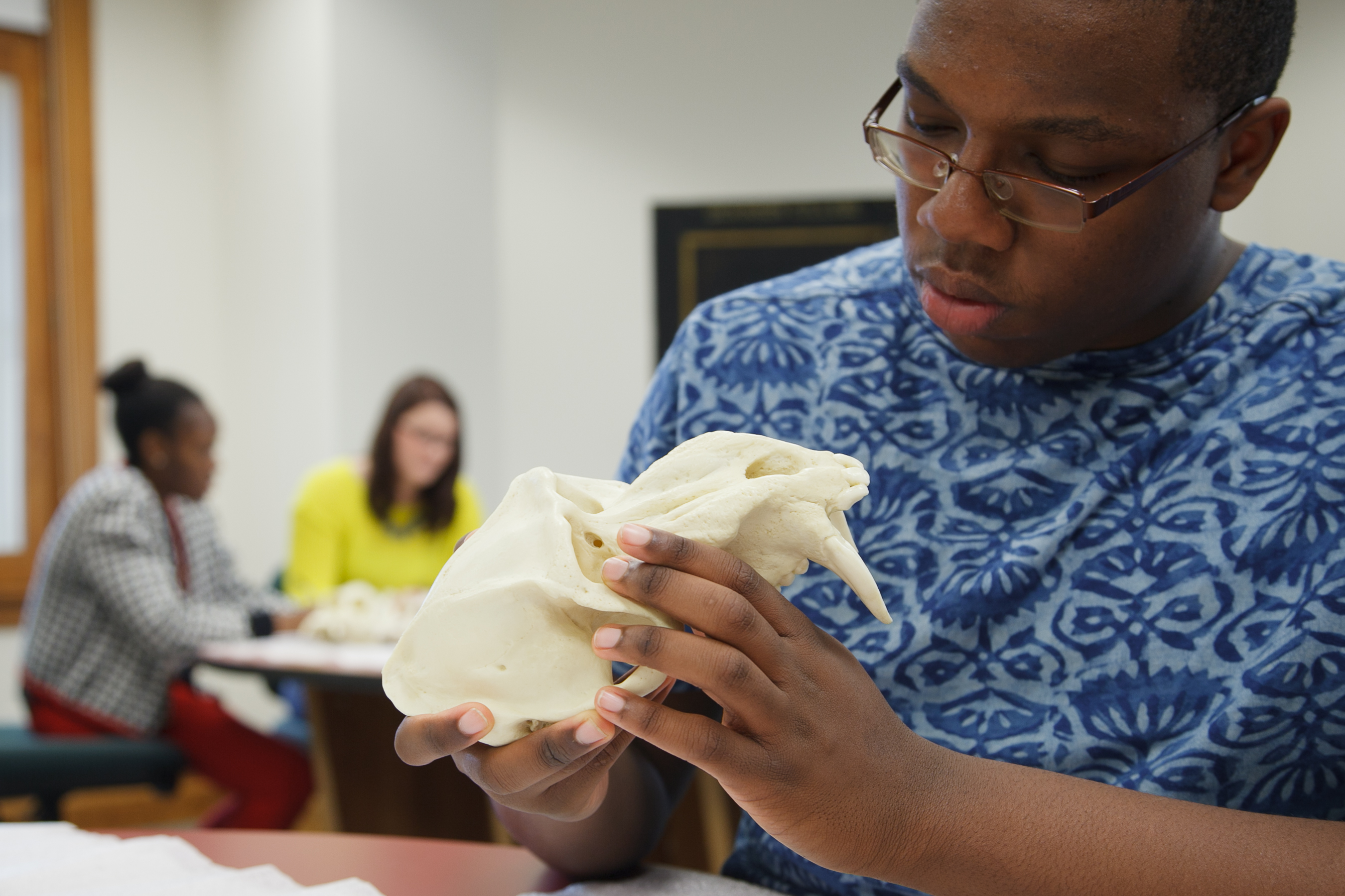 picture of anthropology students studying in the Keck Anthropology Lab