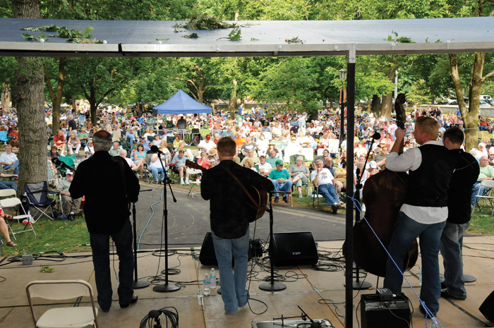 bluegrass on the grass