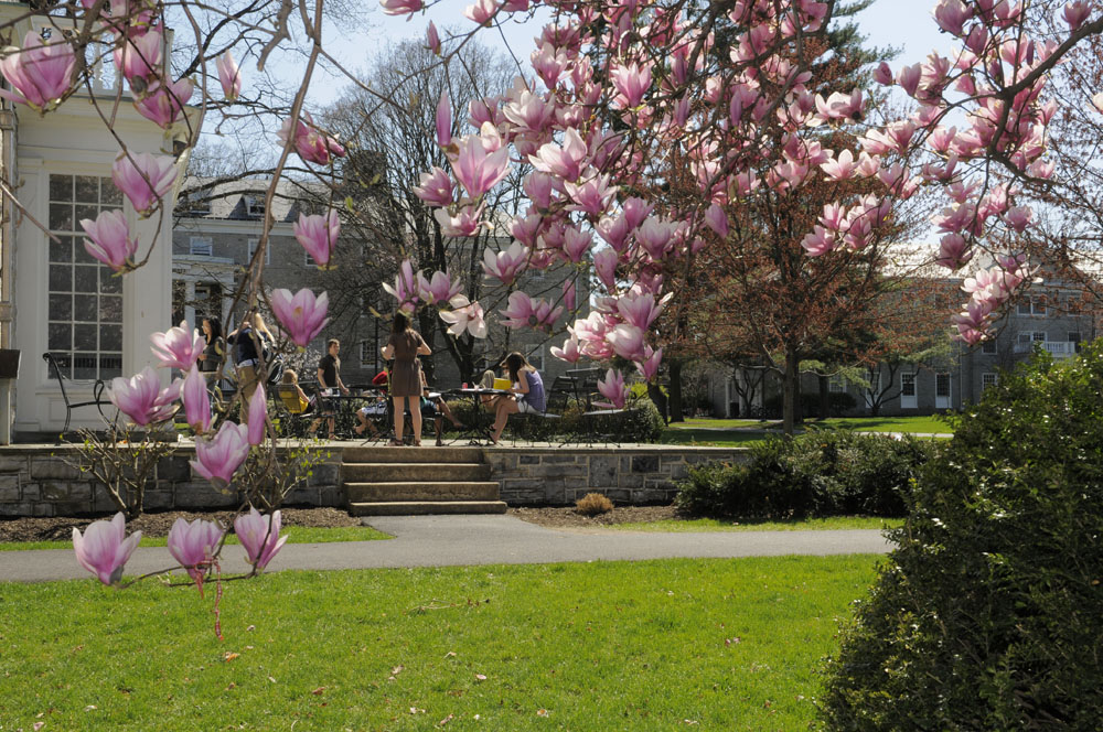 Drayer Hall in spring 