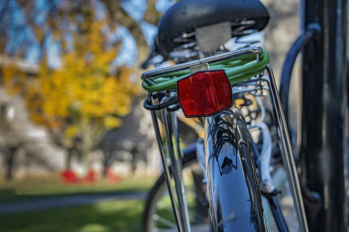 Photo of the rear of a bicycle with the rear fender and back reflector visible. There is a tree in the distance.