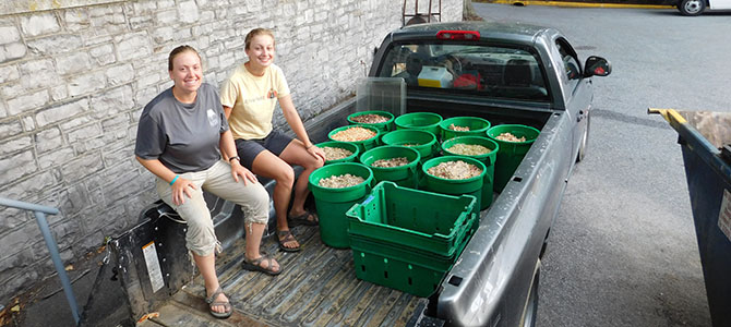 Dining Hall Compost 