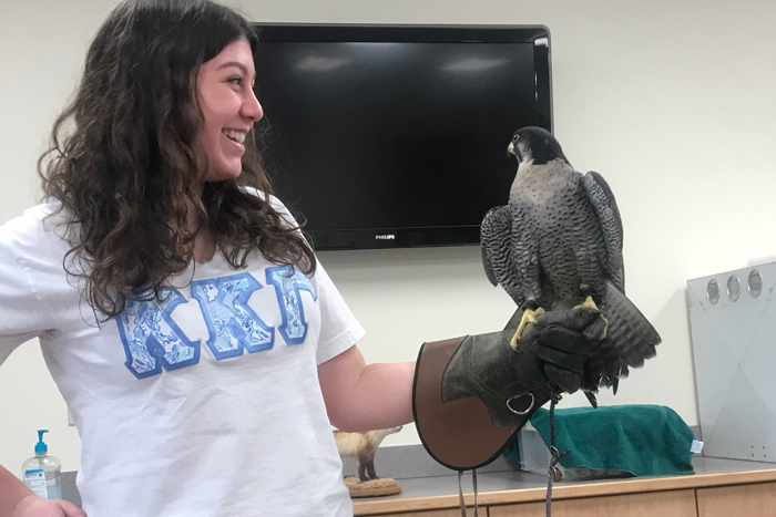 Student and a hawk in class