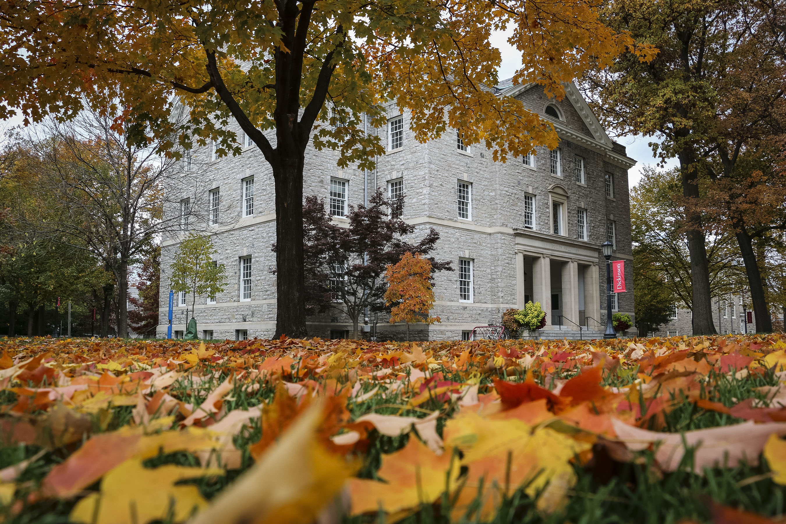 campus in autumn