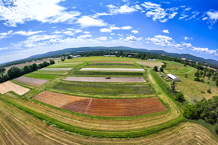The Dickinson College Farm features 87 acres of tillable land and pasture, barnyards, greenhouses and areas for composting and sustainable-energy production.
