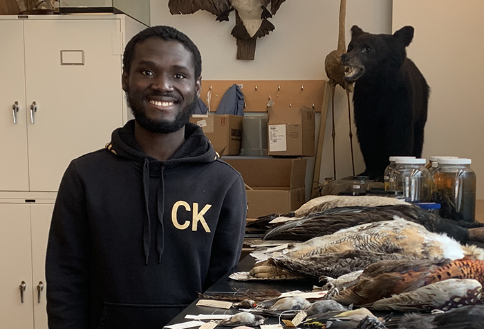 Daniel Yamoah preserved specimens for future students to study through Dickinson's Natural History of Invertebrates class. He says hands-on learning opportunities like these are invaluable in helping to prepare him to serve as a physician.