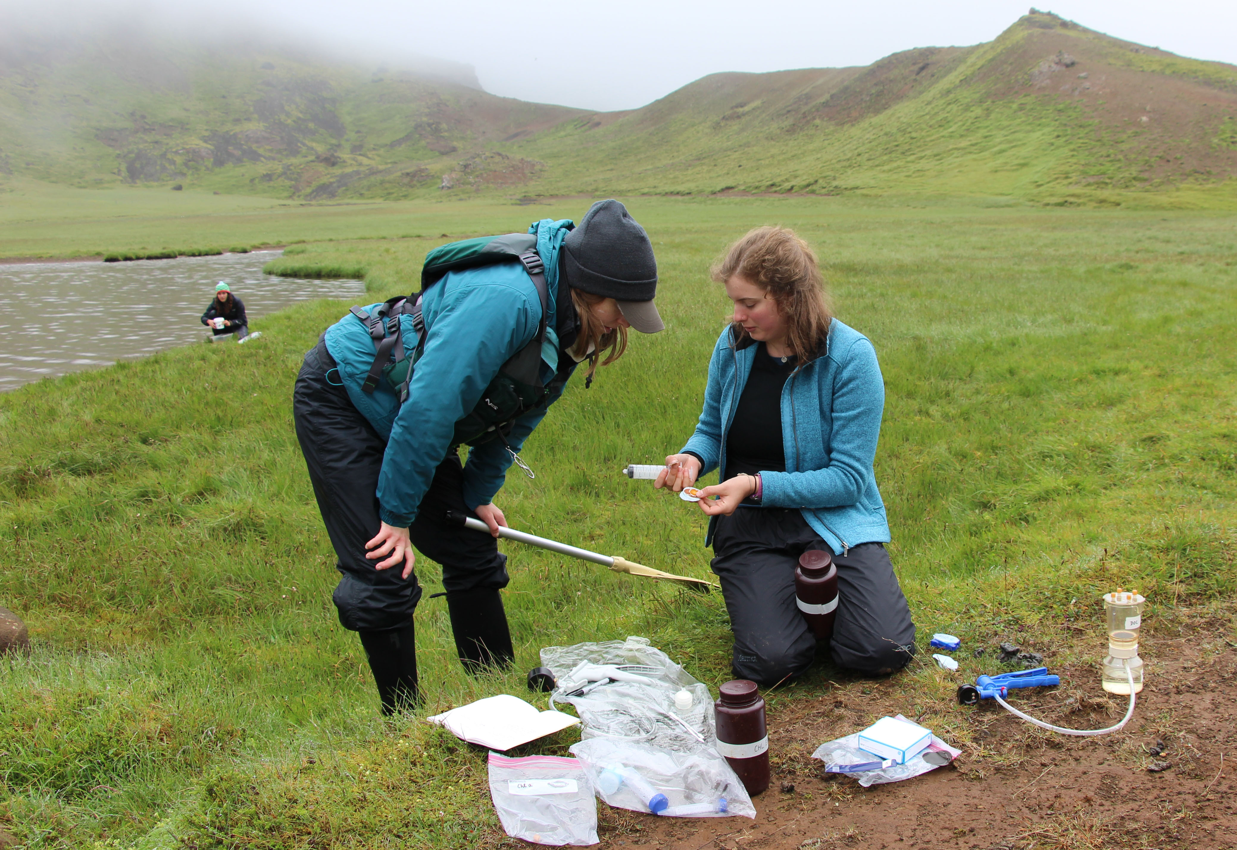 Students taking stream samples