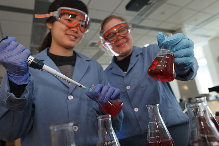 Class of 2019 members Lena Friedman and Haeji Chung measured changes in the absorption rate of antioxidants in fresh and canned farm beets, versus fresh and canned store-bought varieties. Photo by Carl Socolow '77.