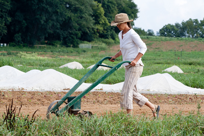 Director of the College Farm Jen Halpin