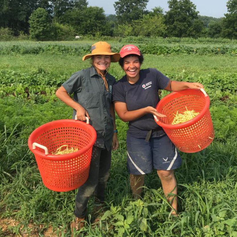 Fresh College Farm Produce