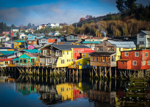 GEPC_turvey_palofitos_at_low_tide__chile_300w.jpg