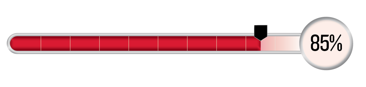A red horizontal progress bar that reads 85%