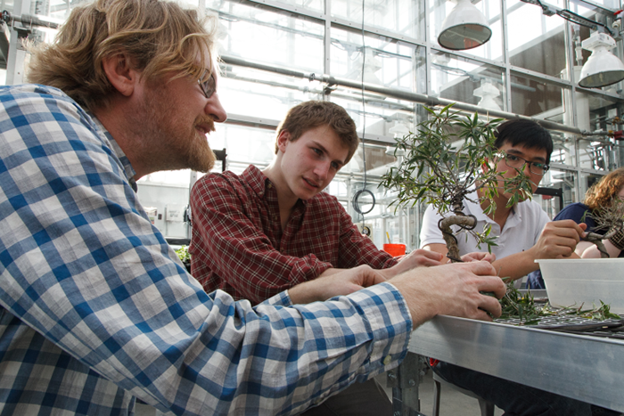 Alex Bates with students around a Bonsai tree in a greenhouse.